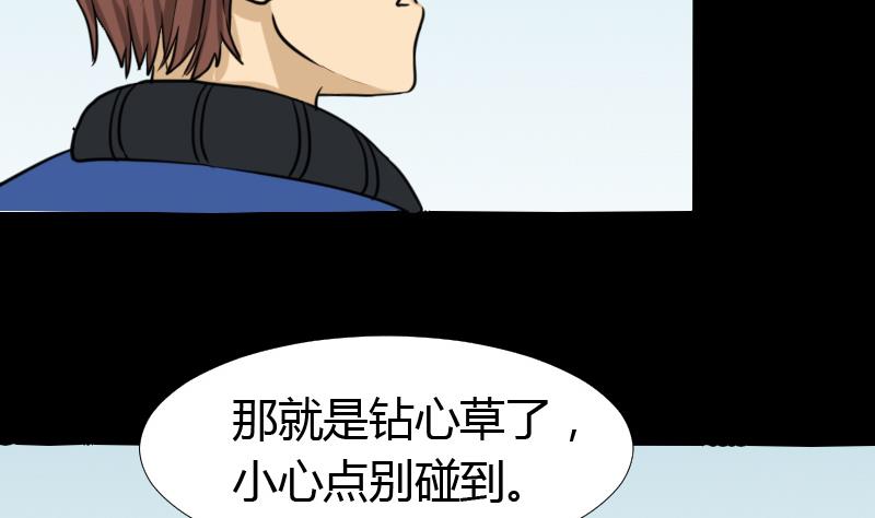 第45话 无底洞钻心草(1/2)-第46话