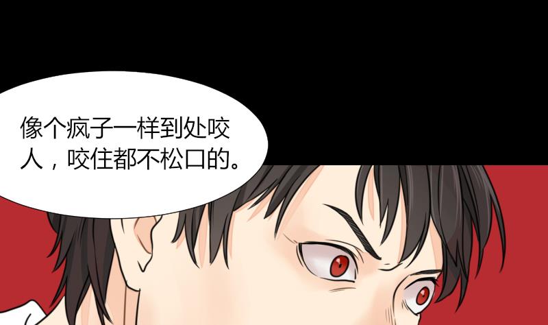 第53话 咬人(1/2)-第54话