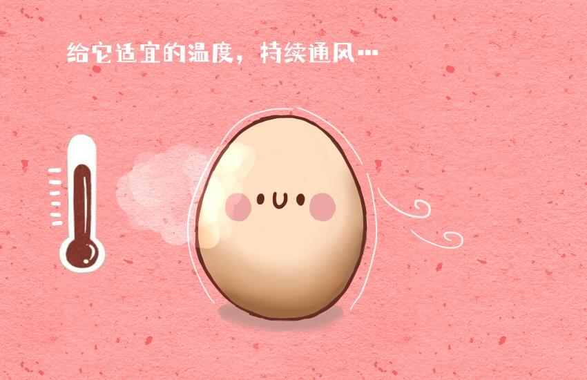 048 牛角包 鸡蛋-第48话