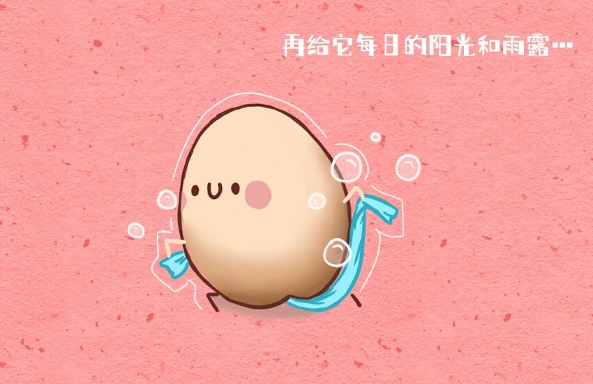 048 牛角包 鸡蛋-第48话