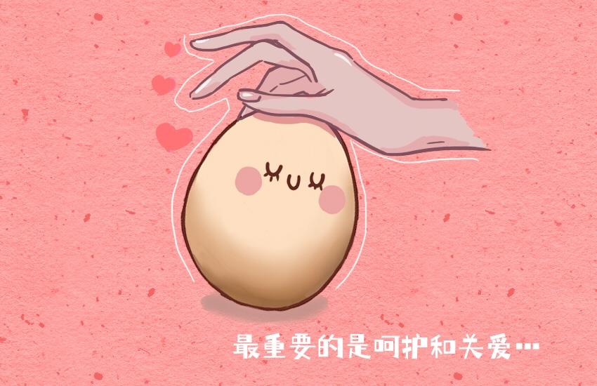 048 牛角包 鸡蛋-第48话