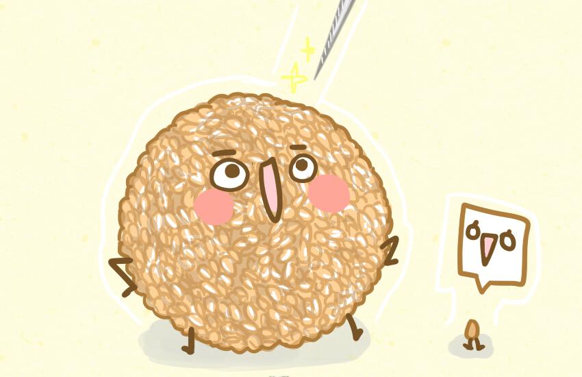 061 芝麻球 哈斗 水蜜桃-第62话