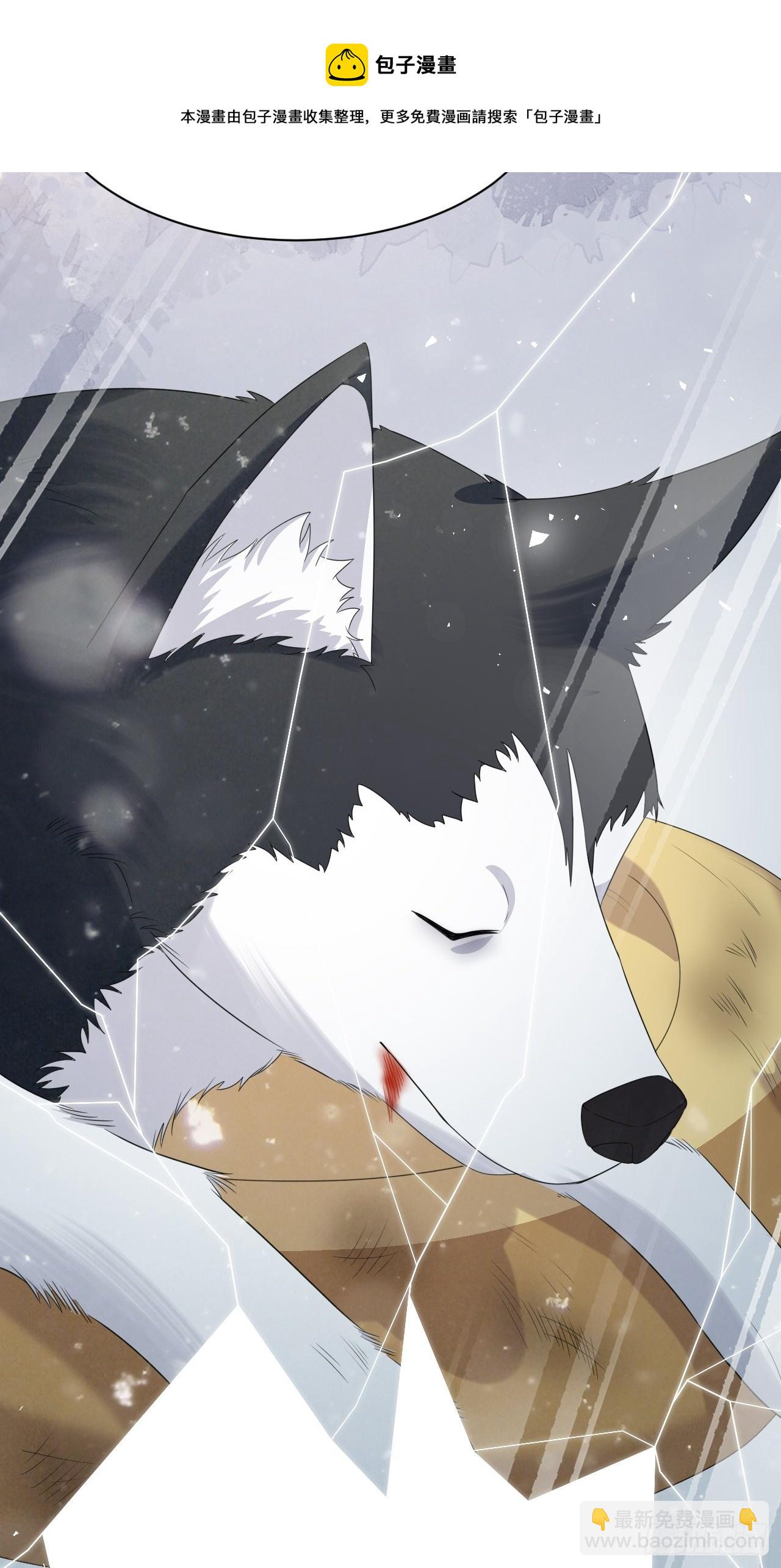 第45话：蝉妖知知（六）-第48话