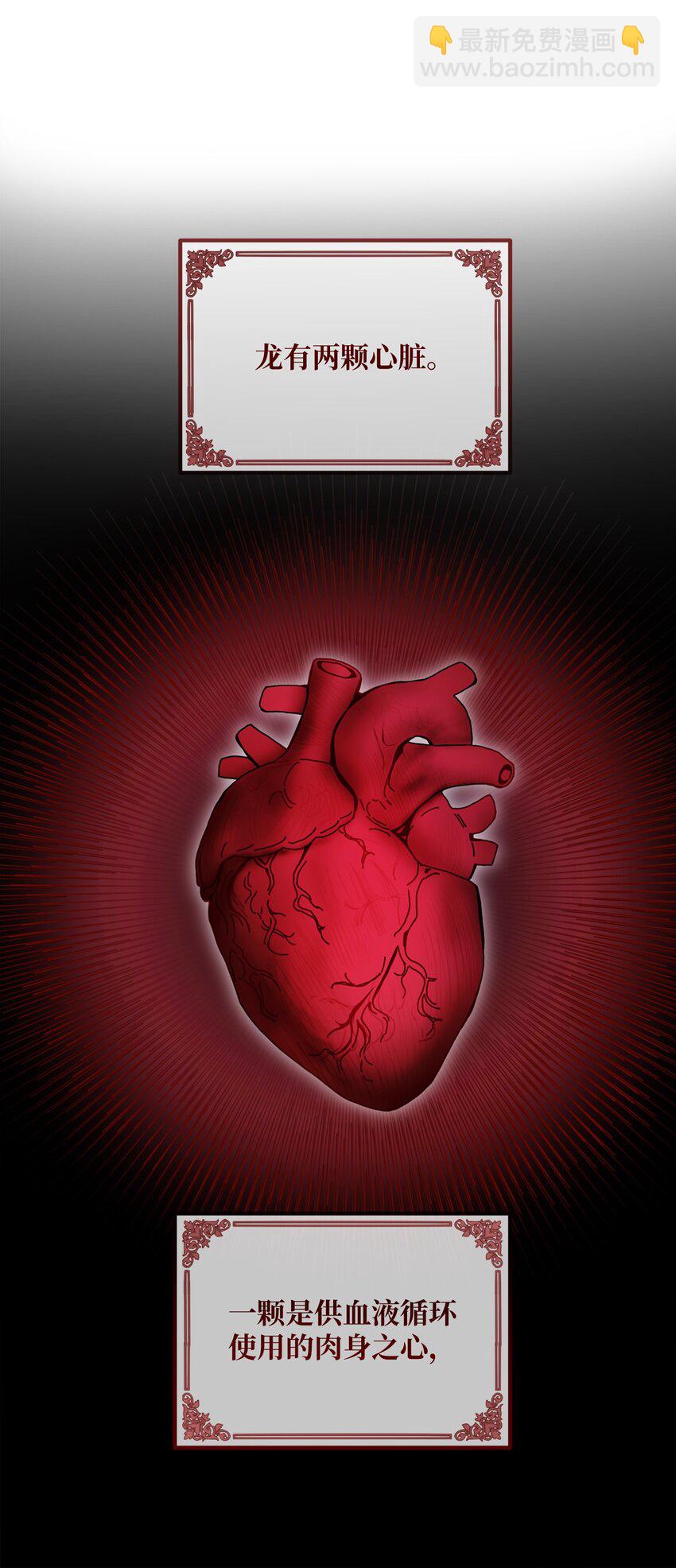 012 第二张牌(1/2)-第12话