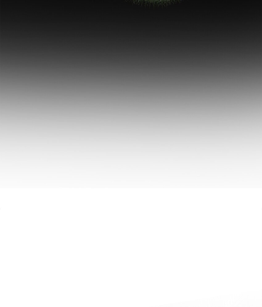 030 祭奠之花(1/2)-第30话