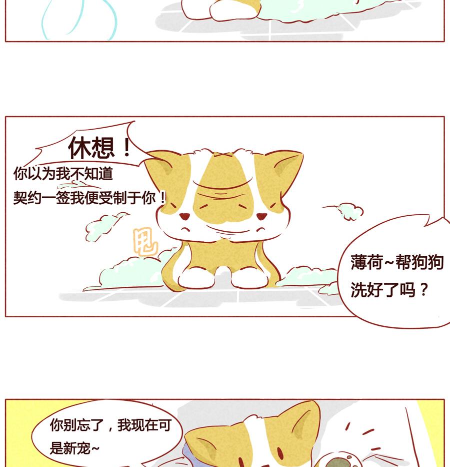 第27话 被赶走了？-第28话