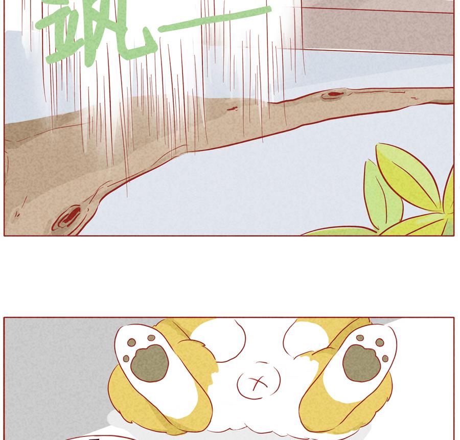 第29话 恭贺新春-第30话