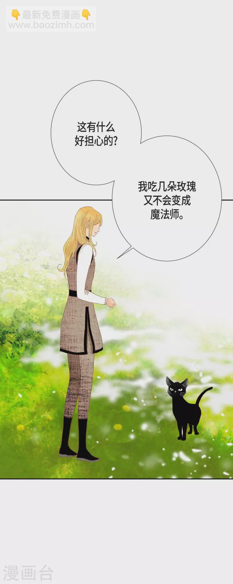 第32话 狮子王的魔法师(1/2)-第32话