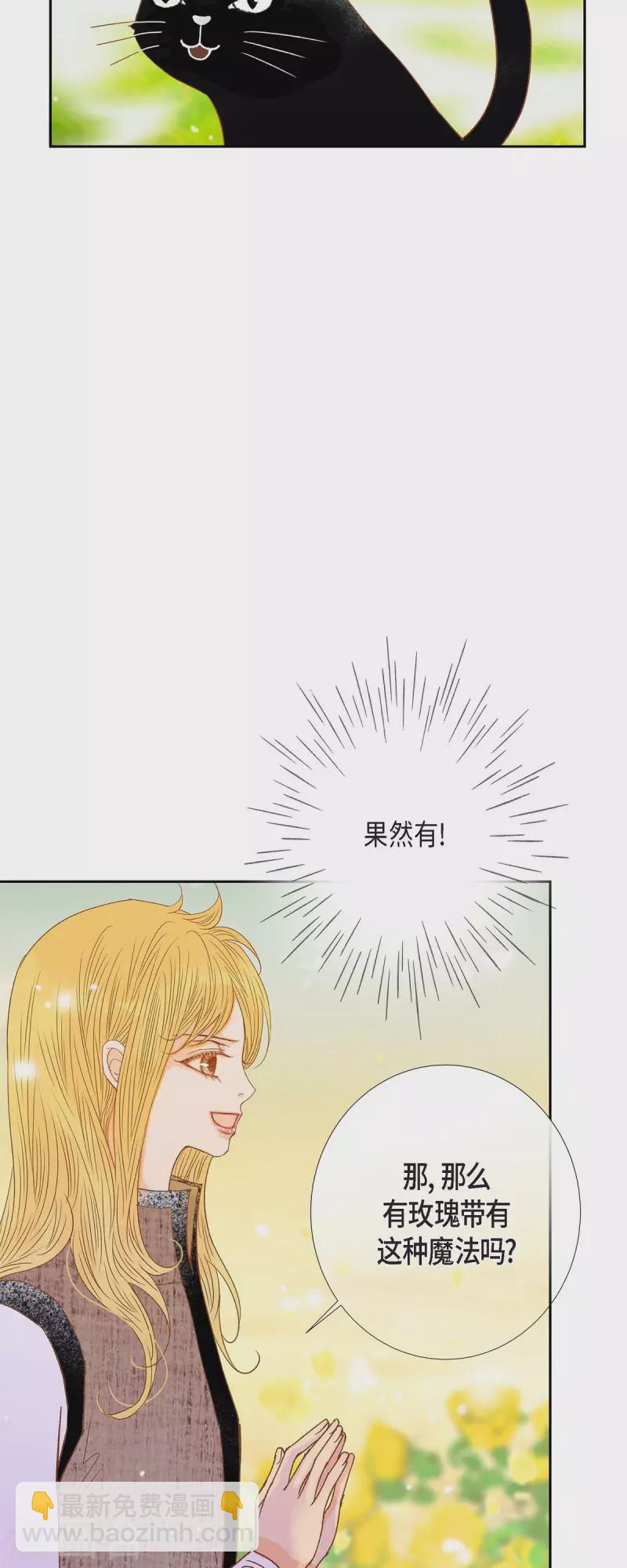 第32话 狮子王的魔法师(1/2)-第32话