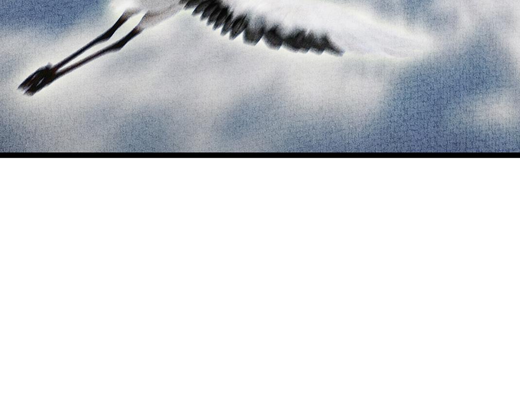 第29话 人财两空(1/2)-第30话