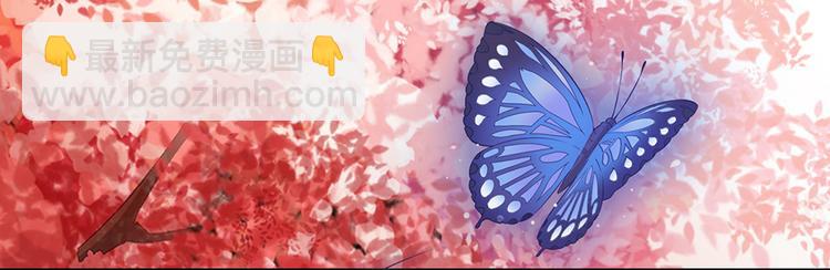 第20话 武功真相(1/2)-第20话