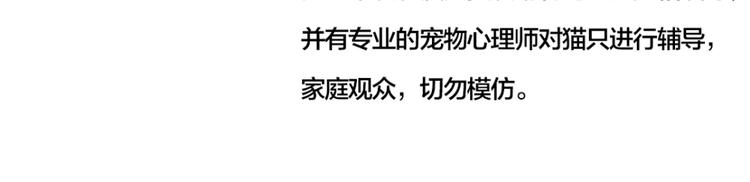 第6话 刺客的下场-第6话