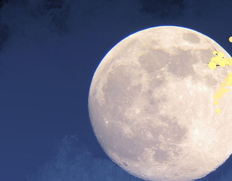 第19话 先惹火的人是你啊~(1/2)-第18话