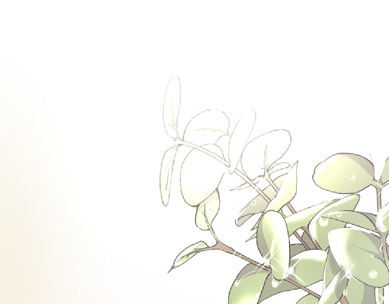 第19话 惊人的化妆术(1/5)-第20话