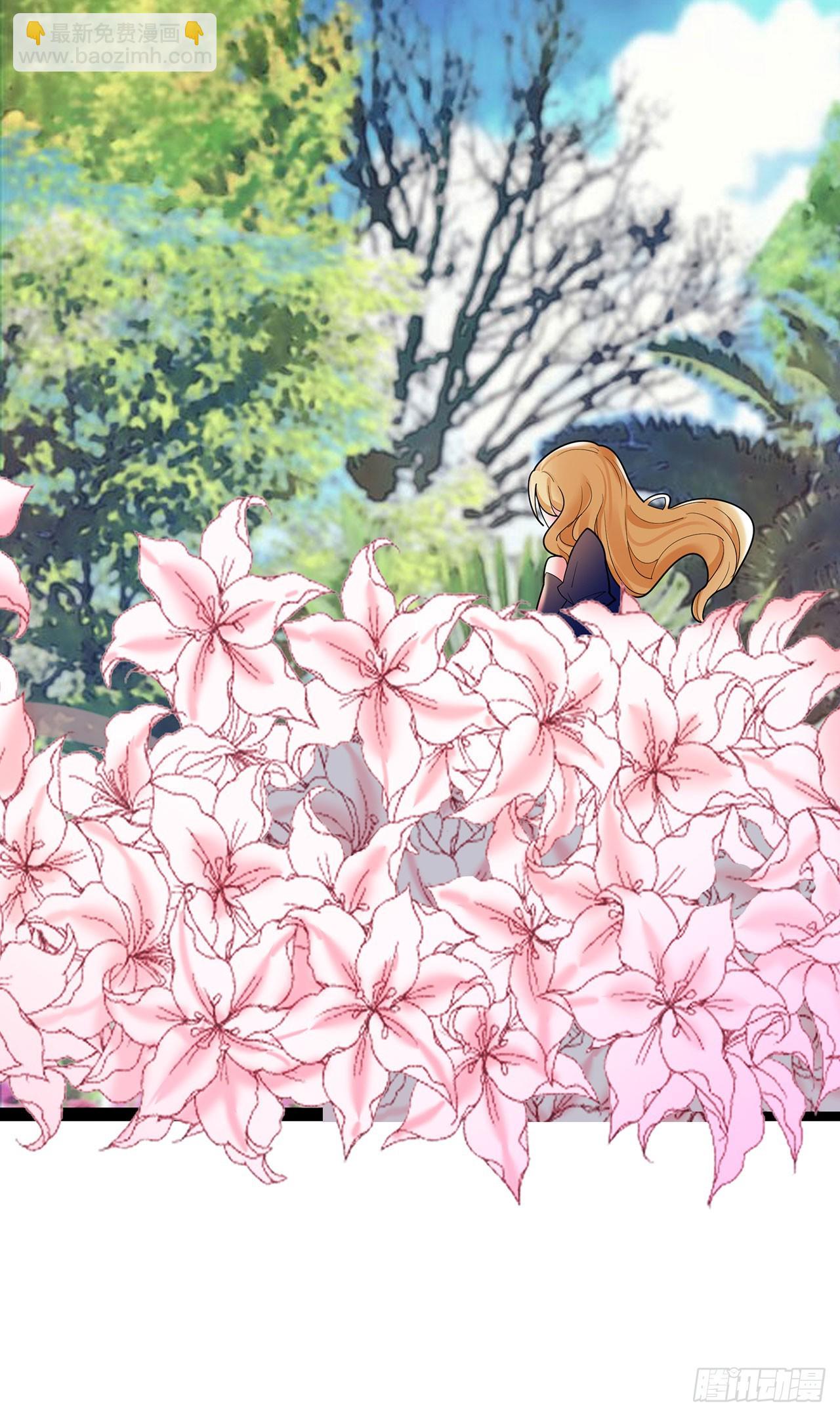 第74话 萌宝们的舞台-第74话