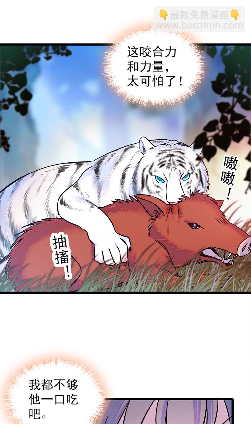 03 这是，动物世界？-第2话