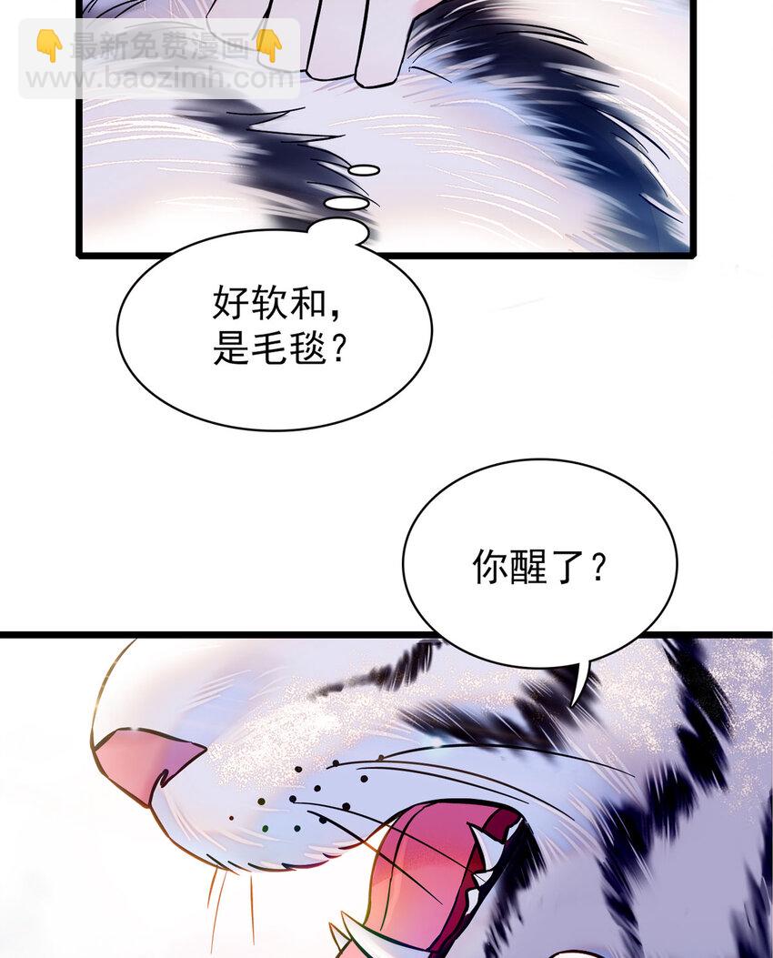 萌動獸世 - 03 這是，動物世界？ - 3