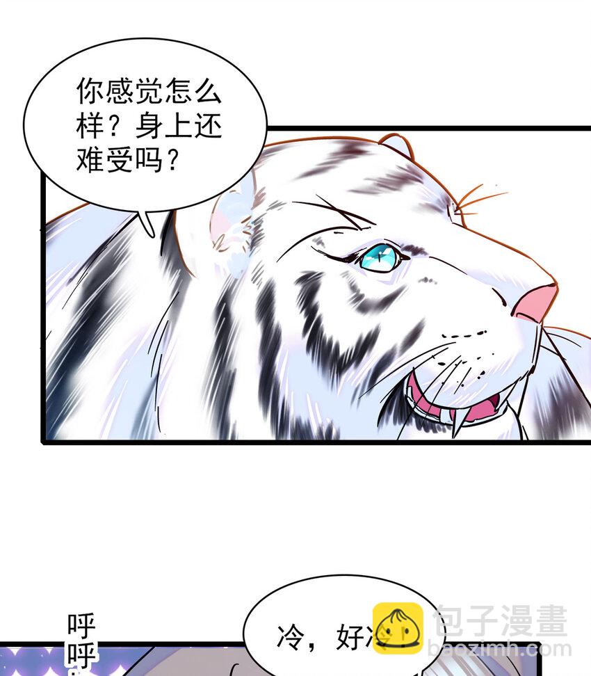 03 这是，动物世界？-第2话