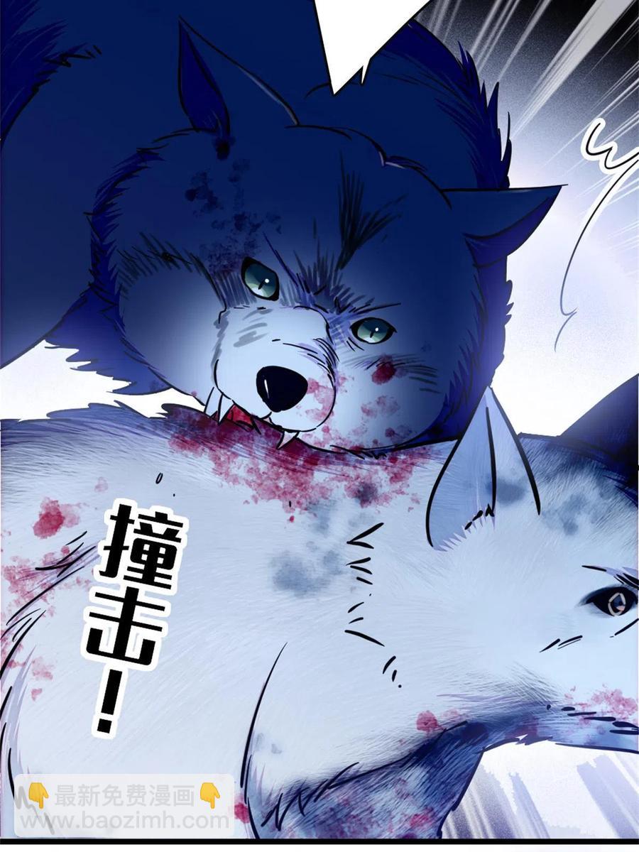 53 岩石狼族没有懦夫(1/2)-第54话