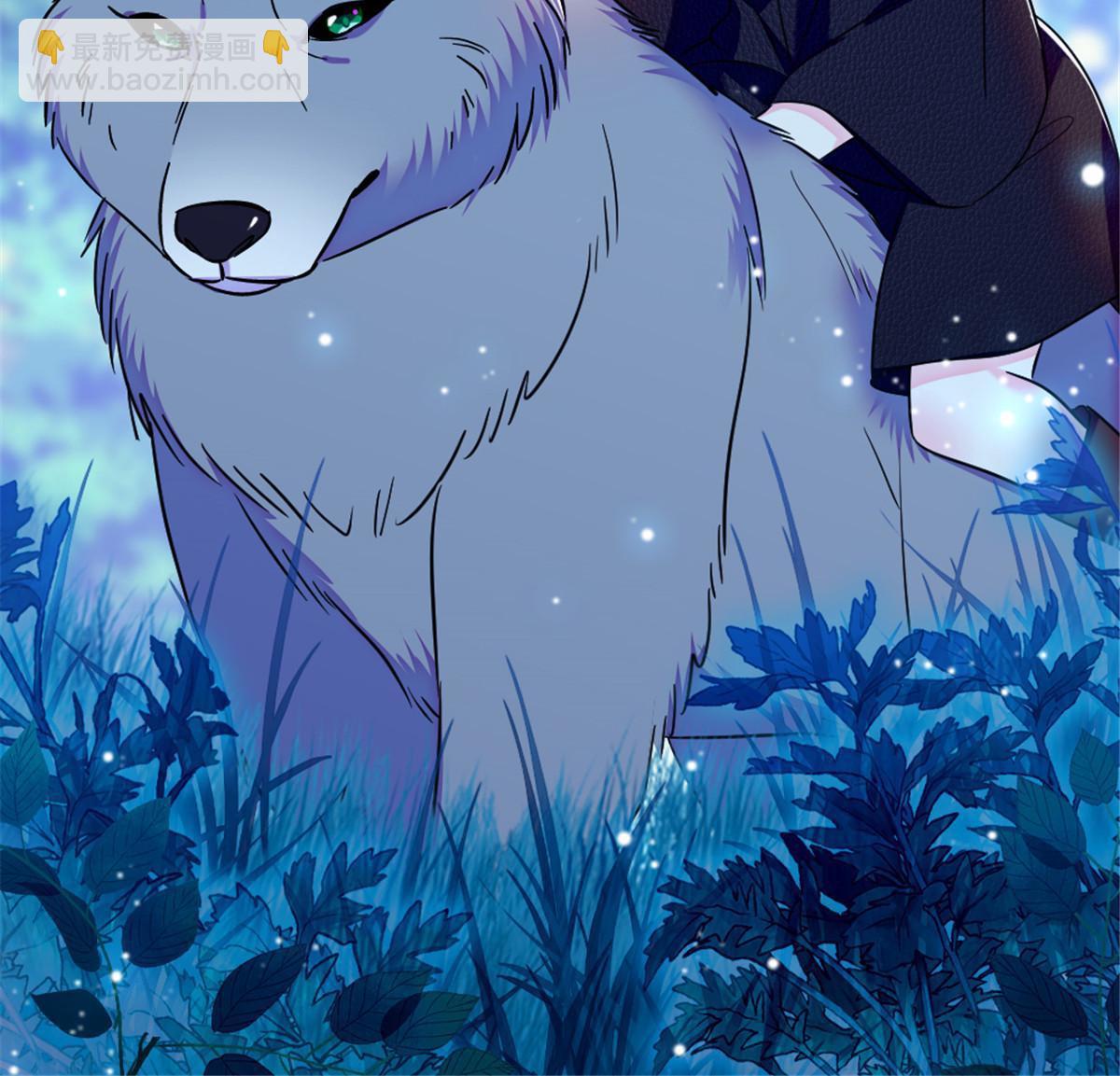 101 桑夜，我们一起回家(1/2)-第102话