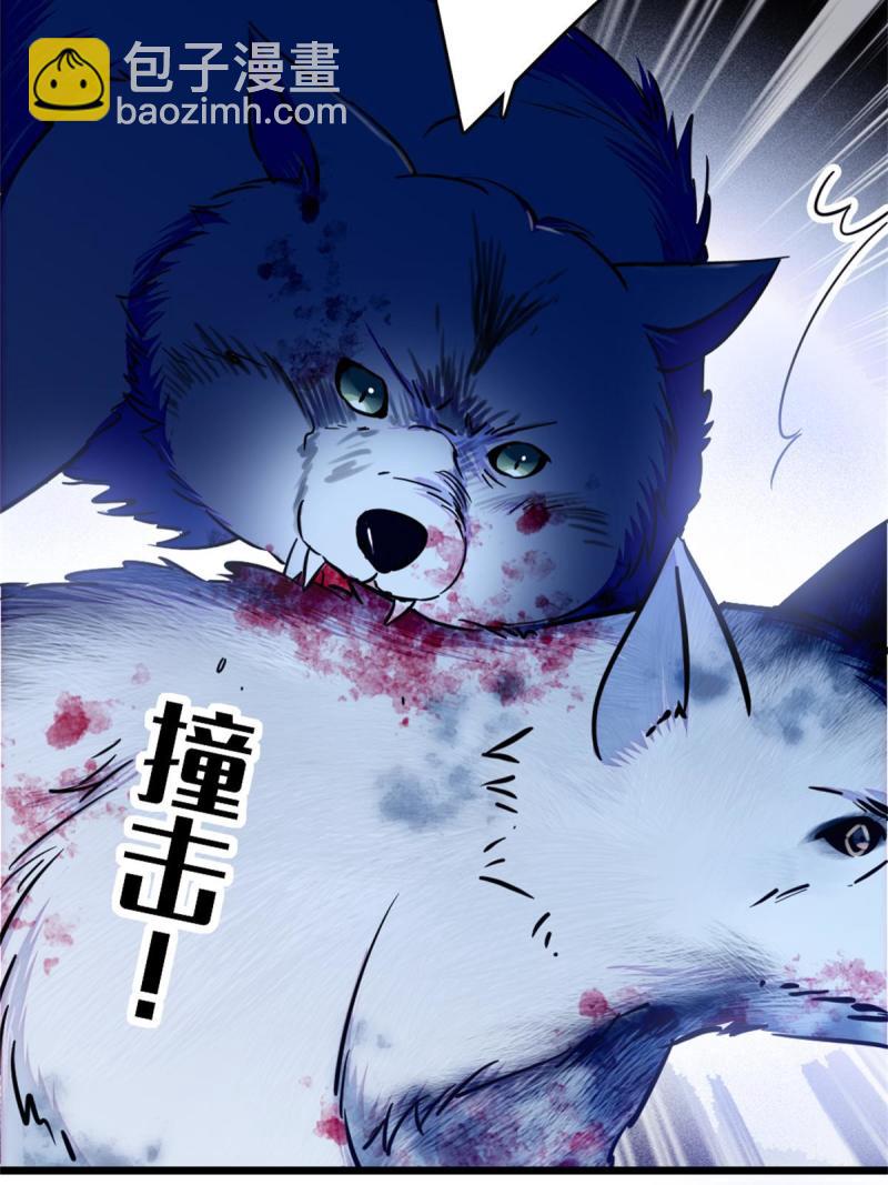 53 岩石狼族没有懦夫(1/2)-第54话