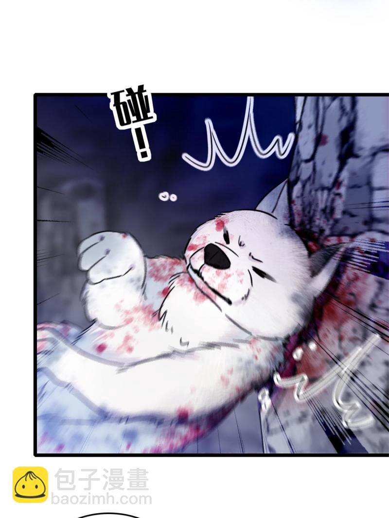 53 岩石狼族没有懦夫(1/2)-第54话