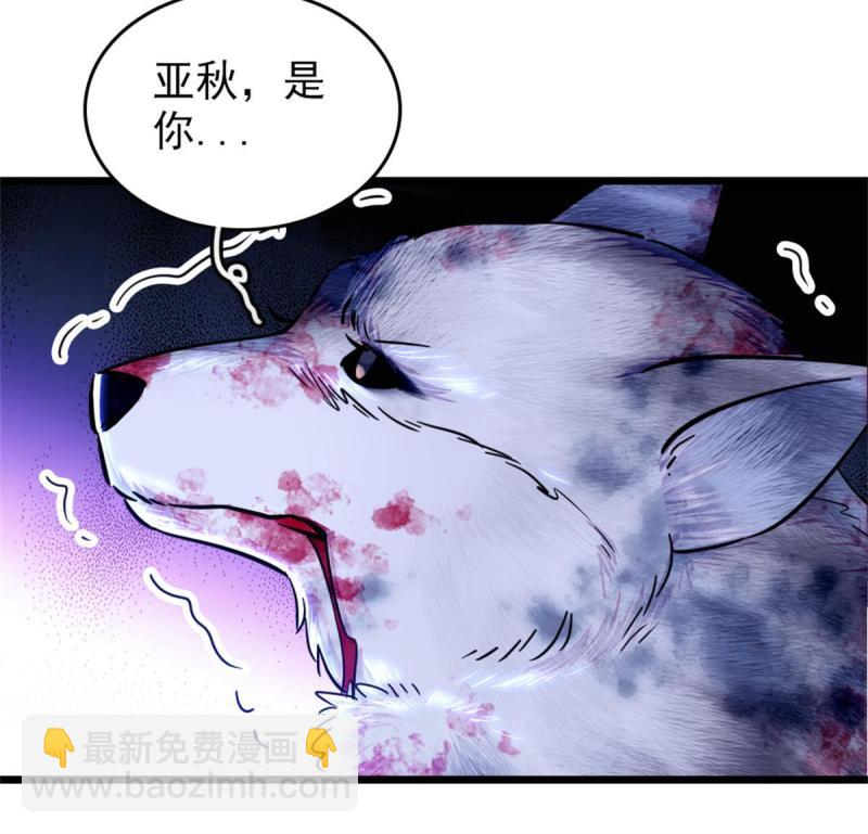 53 岩石狼族没有懦夫(1/2)-第54话