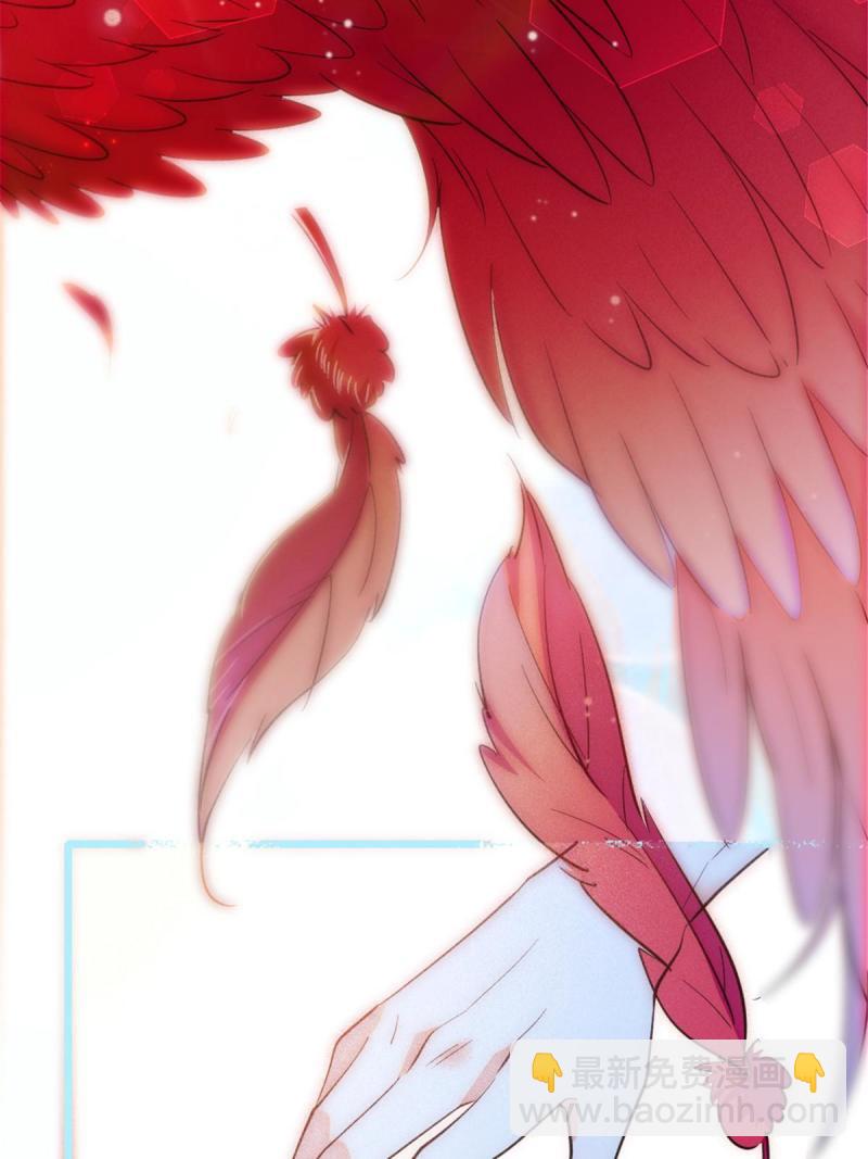 85 羽族长老(1/2)-第86话