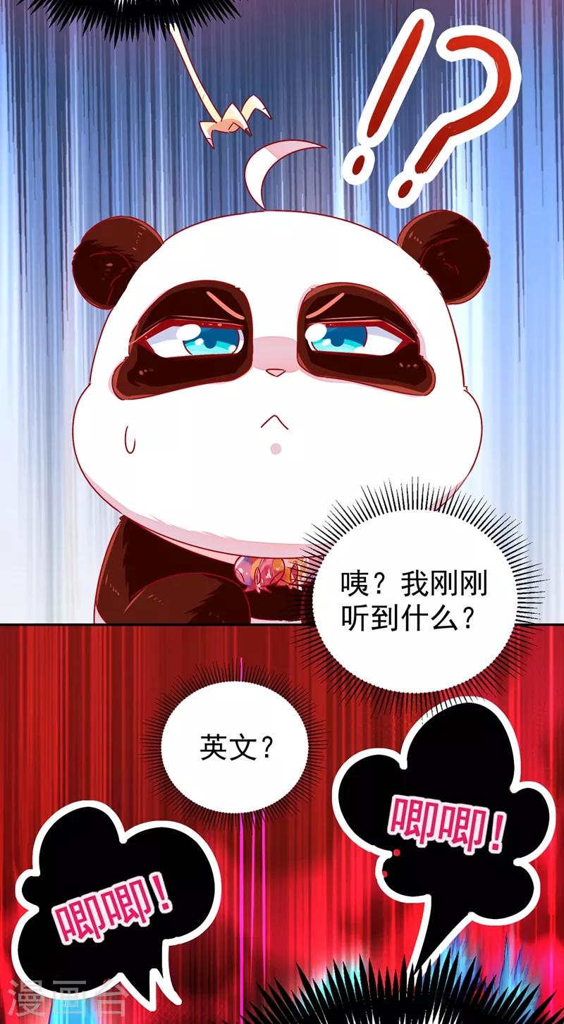 第37话 会八国语言的网红孔雀(1/2)-第38话