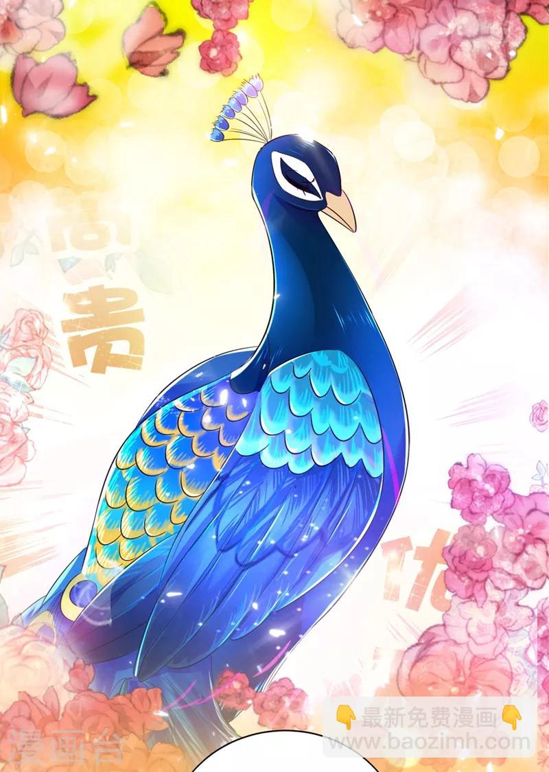 第37话 会八国语言的网红孔雀(1/2)-第38话