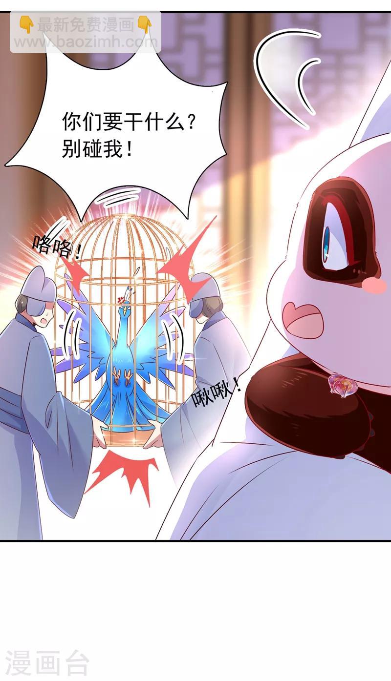 第39话 七天包退-第40话