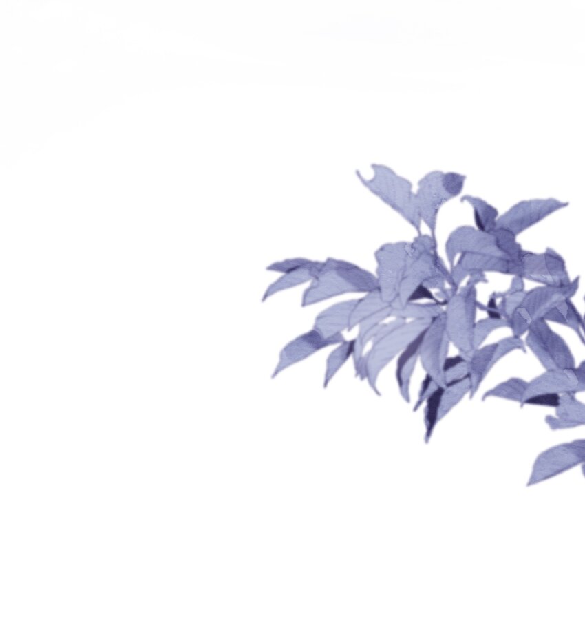 026 你也要住进来？(1/2)-第30话