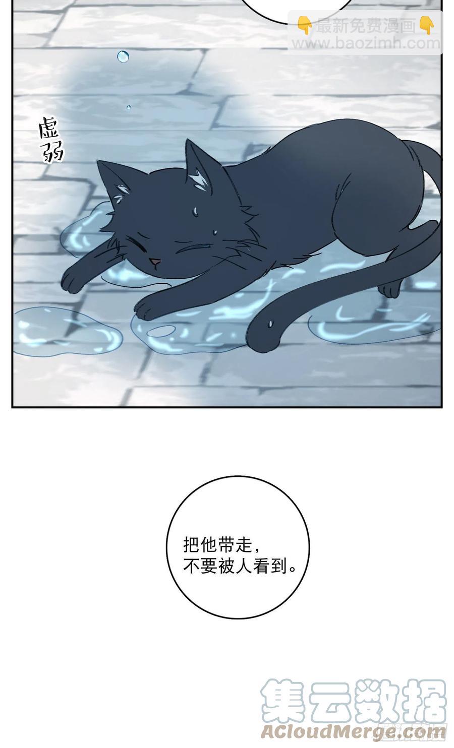 第68话-&ldquo;可爱的小猫咪&rdquo;-第70话