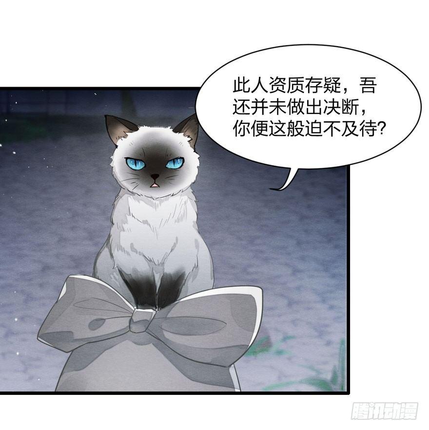 为抢男主，黑脸猫竟出口成（）？-第14话