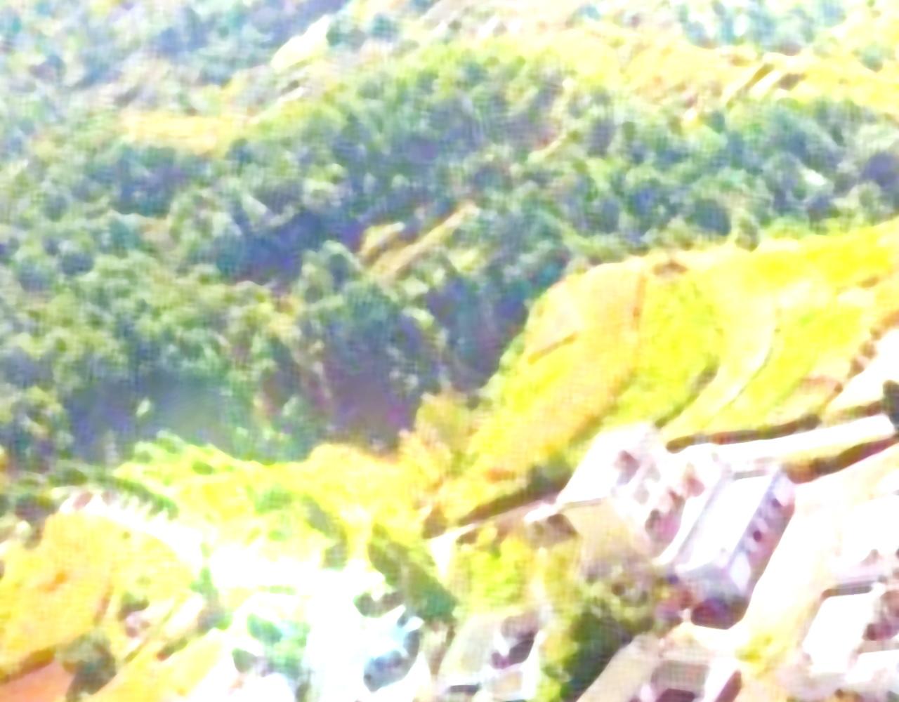 导游，你骗人(1/2)-第16话