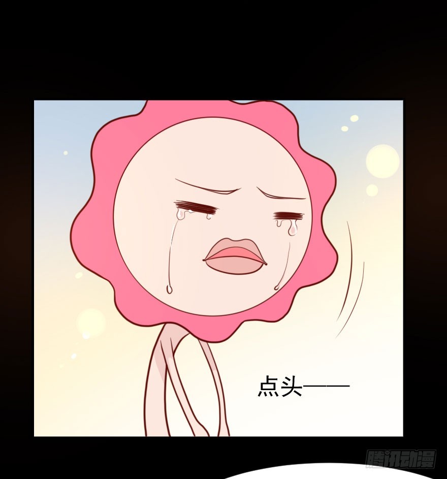 大脸花妖（七）花妖的爱(1/2)-第12话