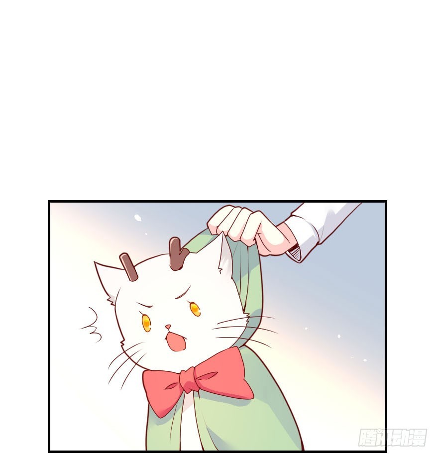 拜月盛宴（四）古月妖狐(1/2)-第18话