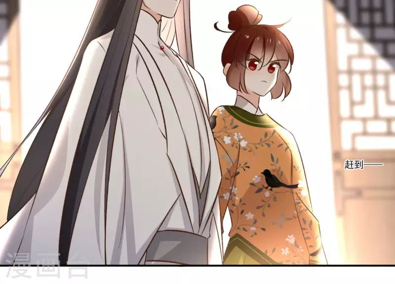 第164话 偷袭(1/2)-第164话