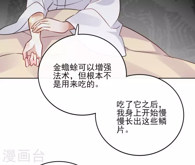 第32话 金蟾蜍-第32话