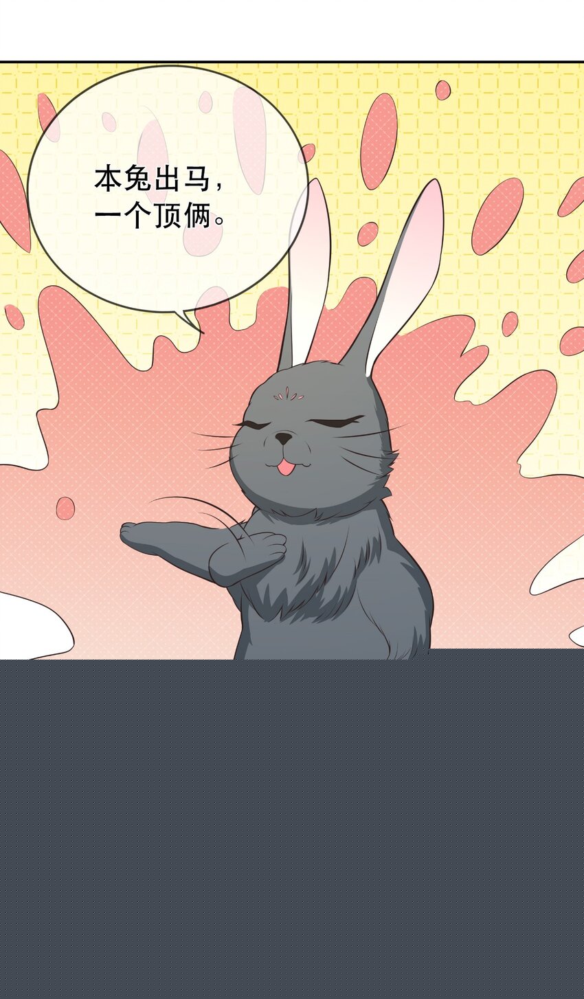 門派只有我一個渣渣 - 第115話 靈兔登場 - 5