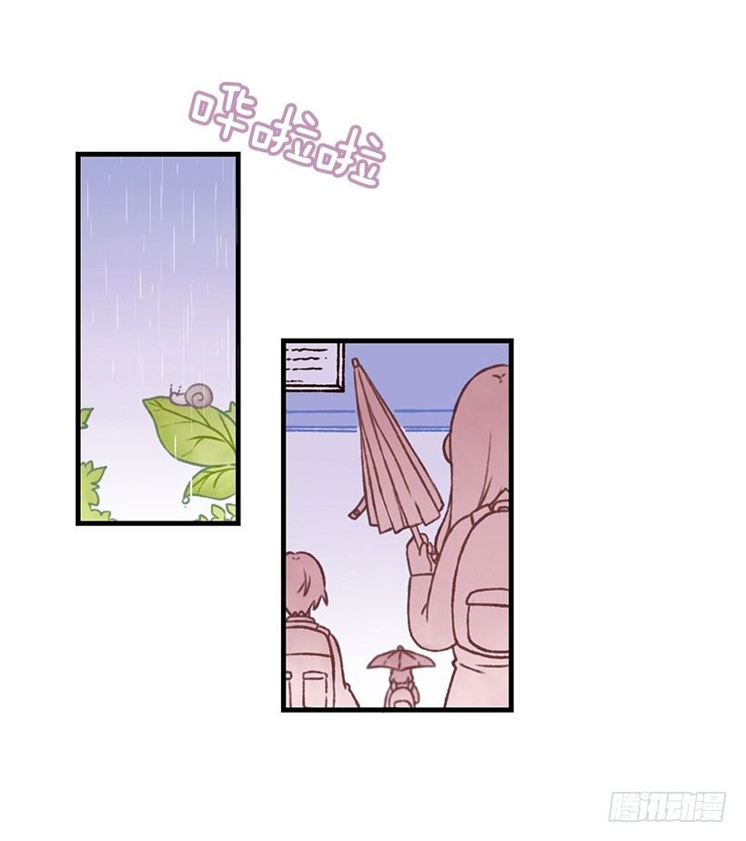 提拉米苏(1/2)-第10话