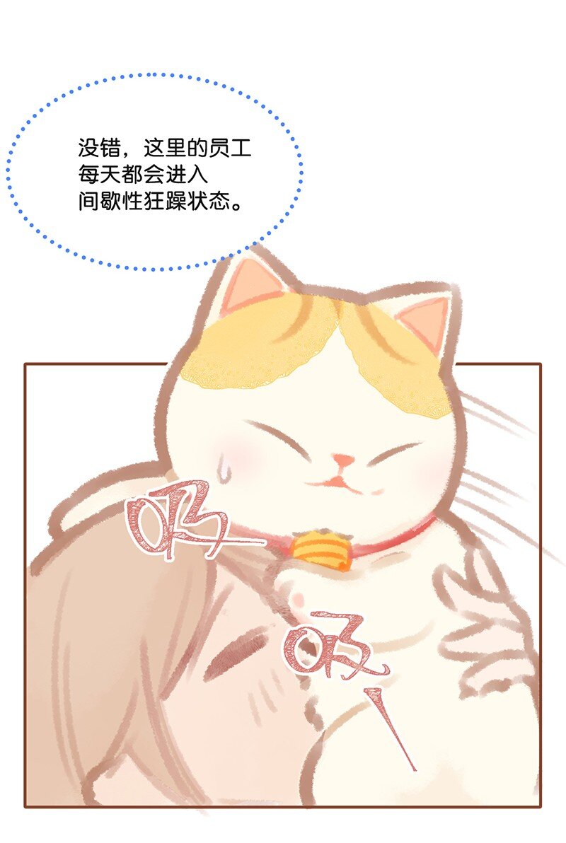 01 谁还不是个高管喵了？-第2话