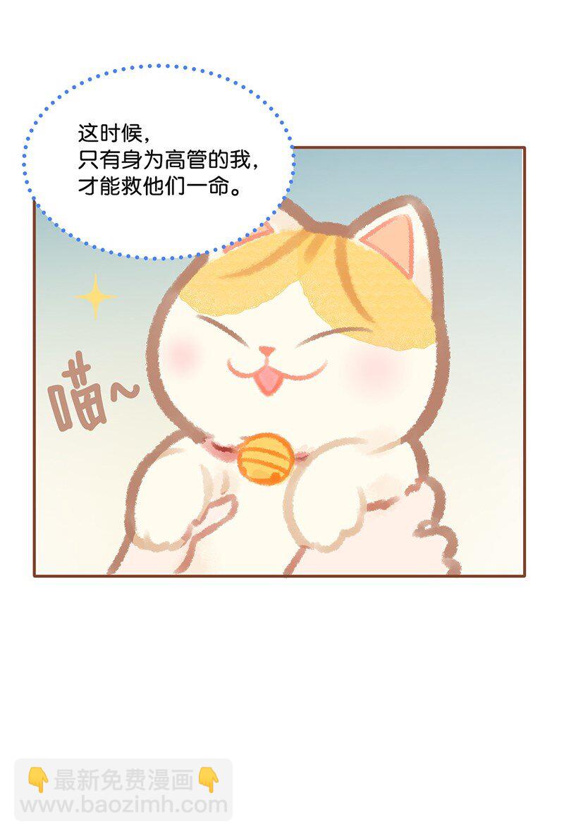 01 谁还不是个高管喵了？-第2话