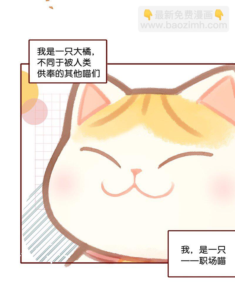 01 谁还不是个高管喵了？-第2话