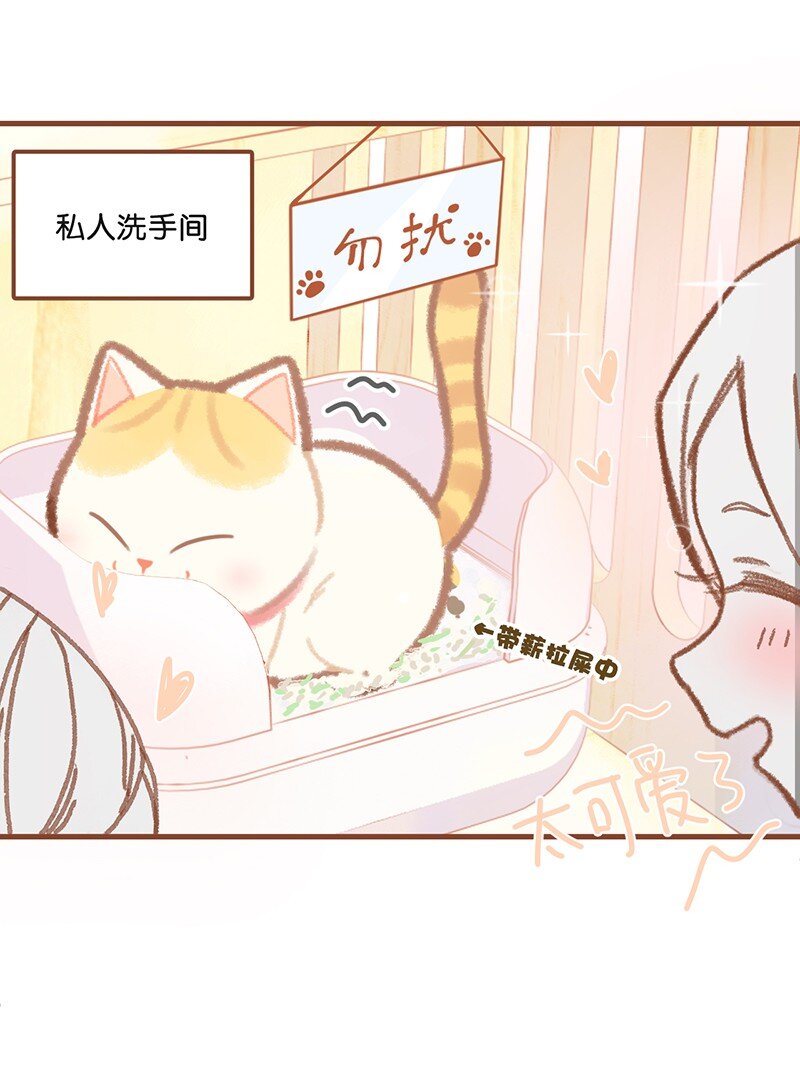 01 谁还不是个高管喵了？-第2话