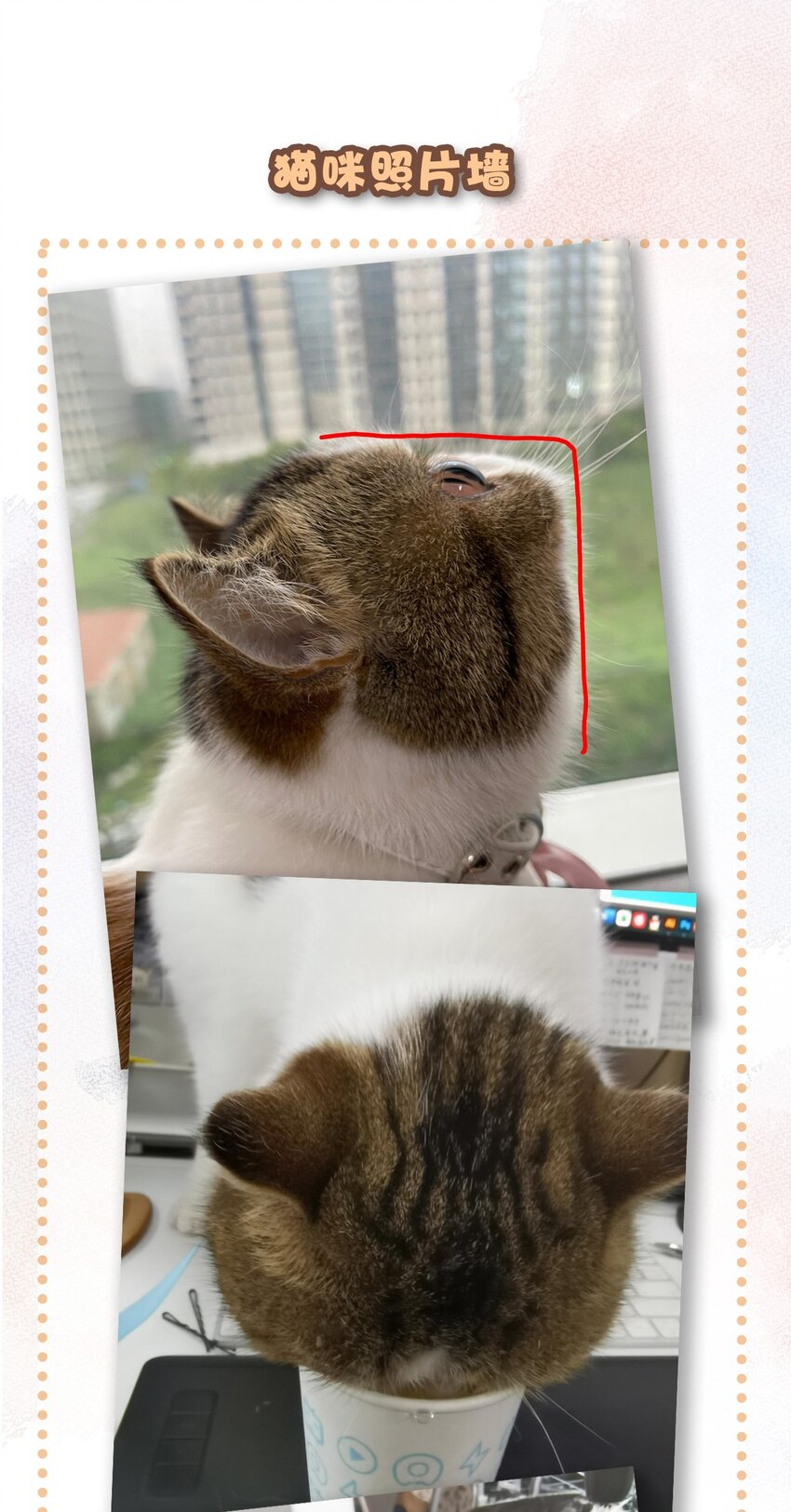 11 新员工入职第一天-第12话