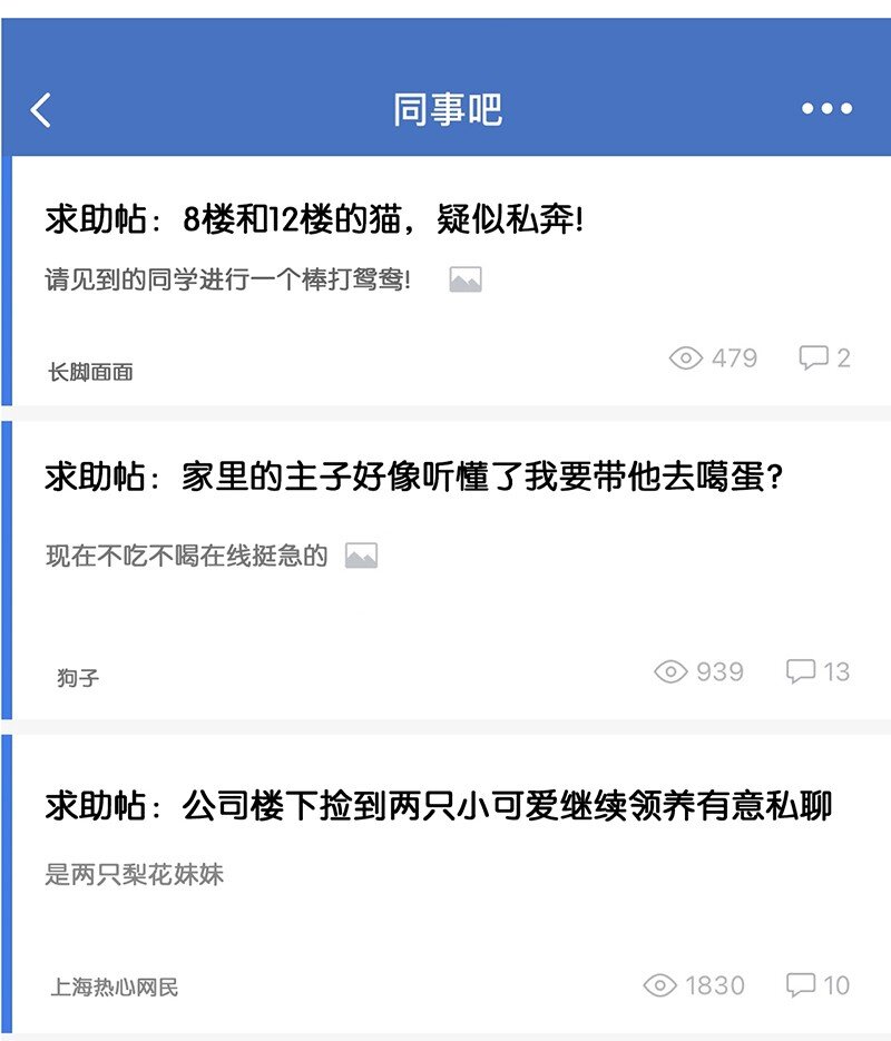 17 大橘和它双双失踪？！原因竟是&hellip;&hellip;-第18话