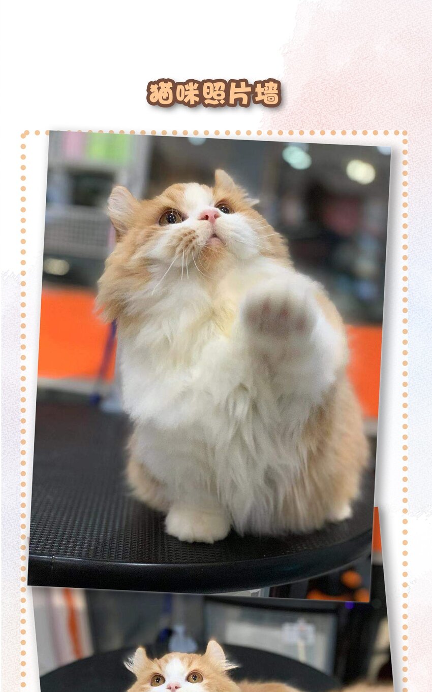 20 神秘的十一和十二月-第22话