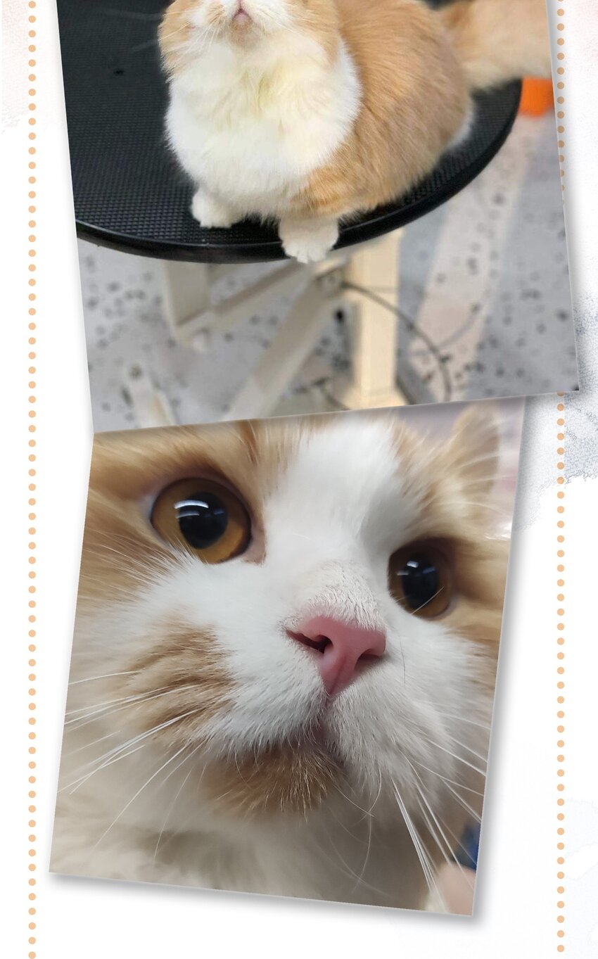 20 神秘的十一和十二月-第22话