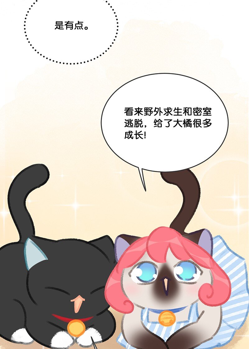 22 团建是密室逃脱和野外求生？-第24话